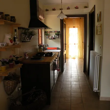 Lejlighed 4flats In Orto Di Venanzio